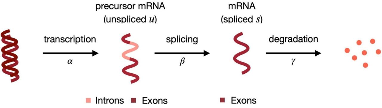 image.png (160.5 kB)