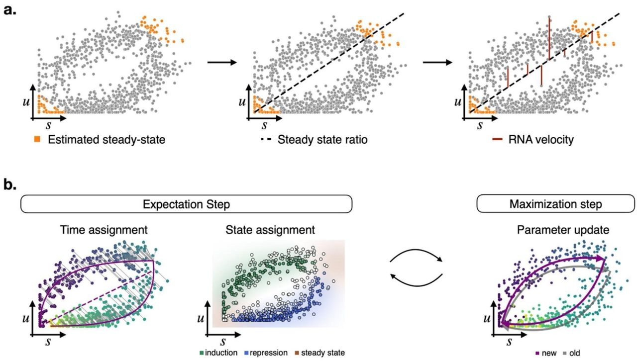 image.png (596.0 kB)