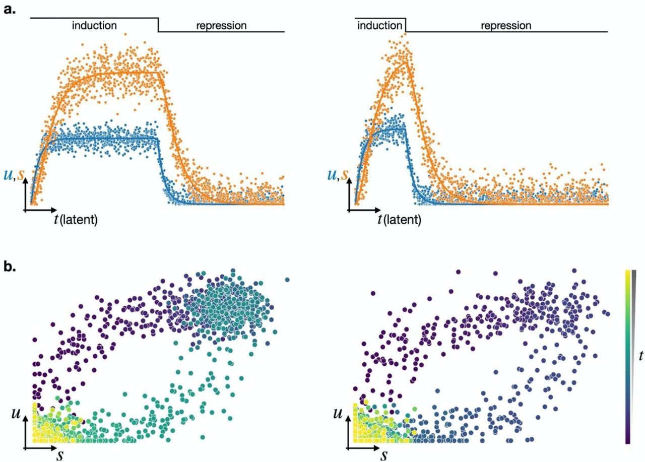 image.png (905.1 kB)