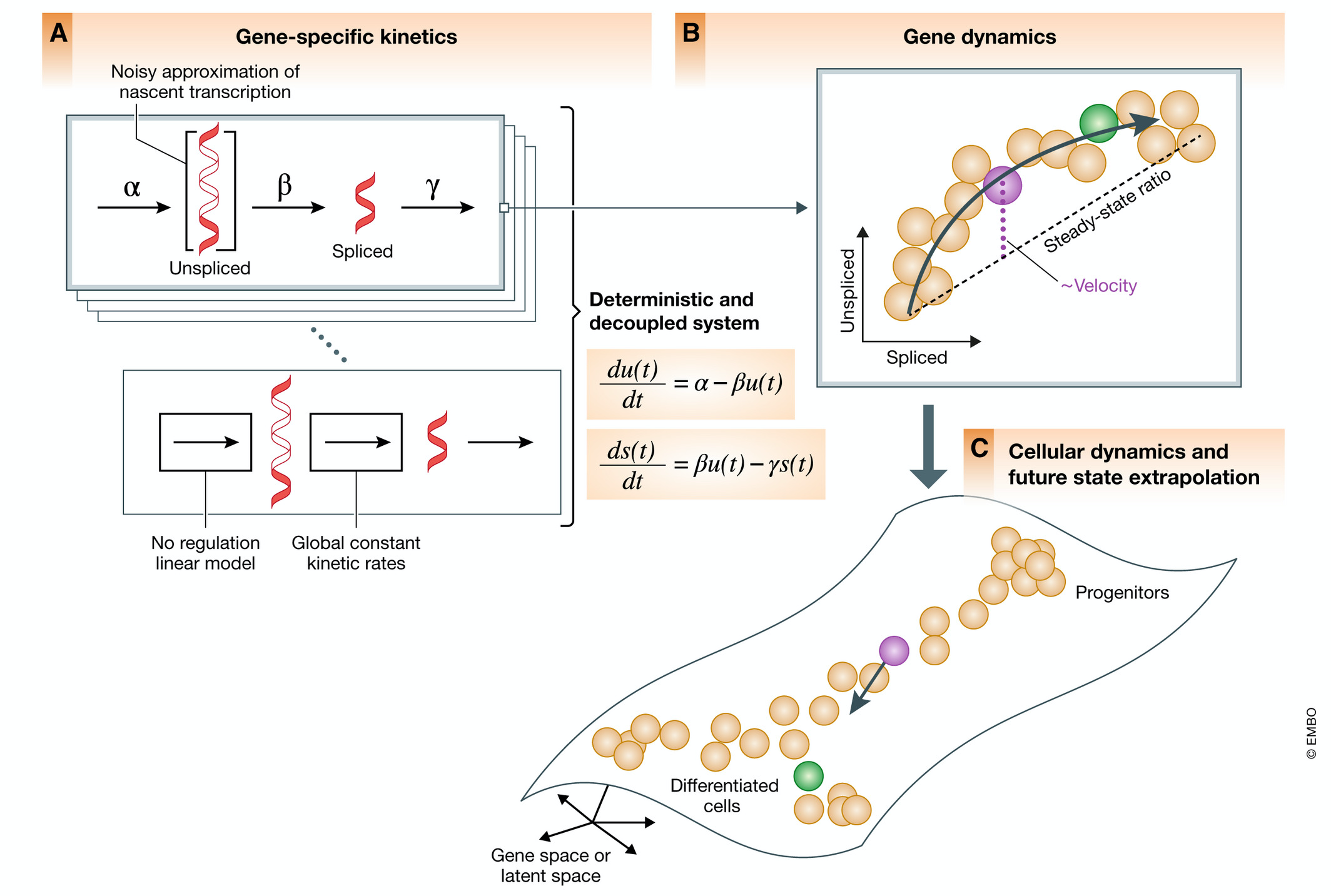 image.png (925.3 kB)