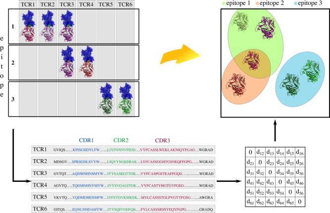 image.png (244.8 kB)