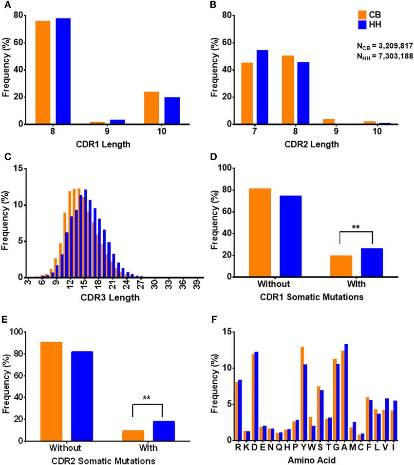 image.png (222.9 kB)